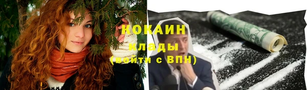 ПСИЛОЦИБИНОВЫЕ ГРИБЫ Киренск