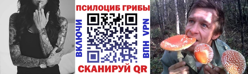 Галлюциногенные грибы Psilocybine cubensis  Купить где  Новозыбков 